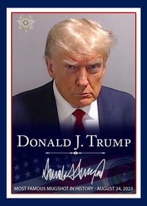 Trump Mugshot Trading Card