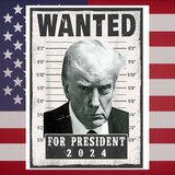 Trump WANTED for President in 2024 Sticker