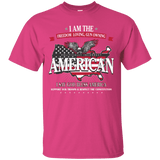 Politically Incorrect American Patriotic T-Shirt