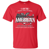 Politically Incorrect American Patriotic T-Shirt