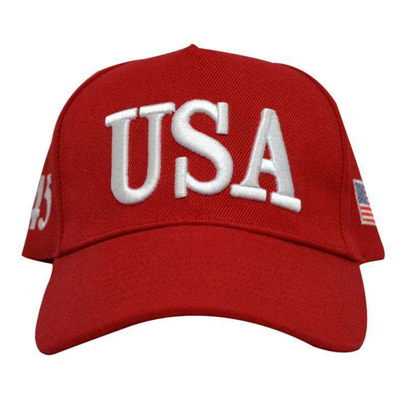 Trump's Red USA Hat - Subscriber Exclusive