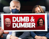 Dumb & Dumber - Joe & Kamala Sticker