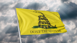 Don't Tread on Me Gadsden Flag - Subscriber Exclusive