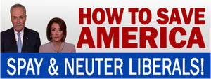 Funny How to Save America Bumper Sticker